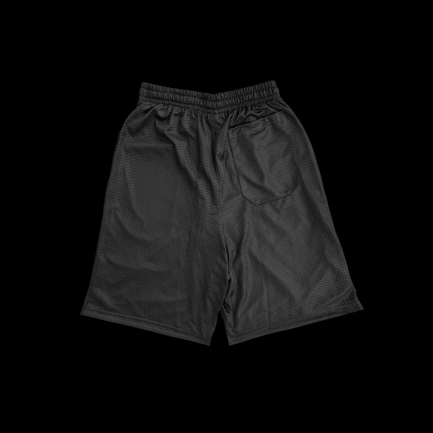 "SPIKE" MESH SHORTS